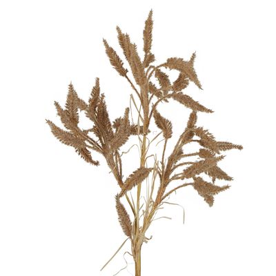 Dried Look Wheat Grass Stem 63cm Brown