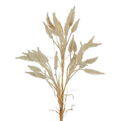 Dried Look Wheat Grass Stem 63cm Cream