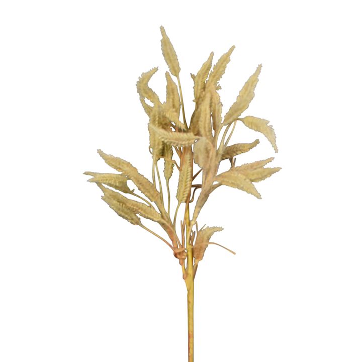 Dried Look Wheat Grass Stem 63cm Cream