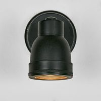Pasco Outdoor Wall Light Black