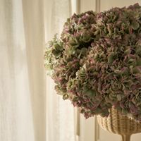 Hydrangea Stem Soft Touch 50cm Green