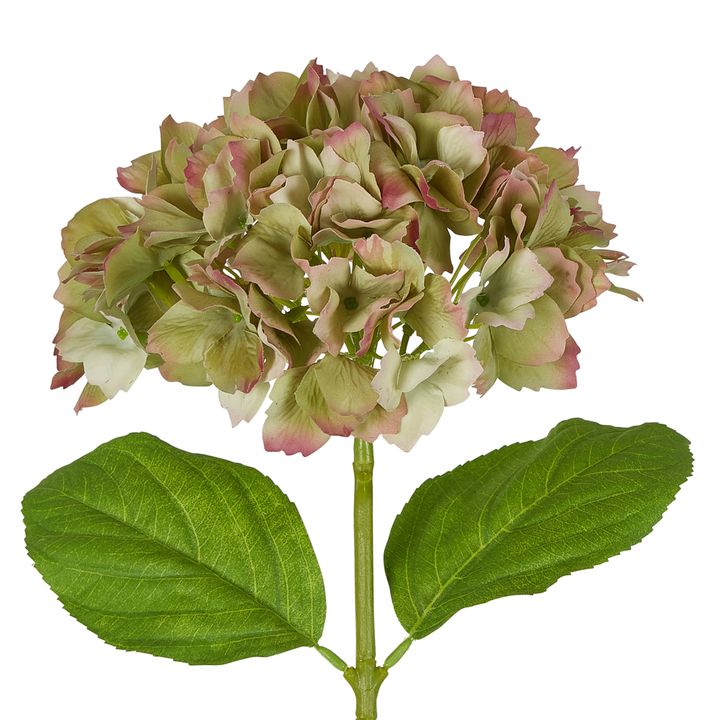 Hydrangea Stem Soft Touch 50cm Green