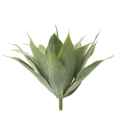 Agave Bush 41cm W/19 Leaves Green