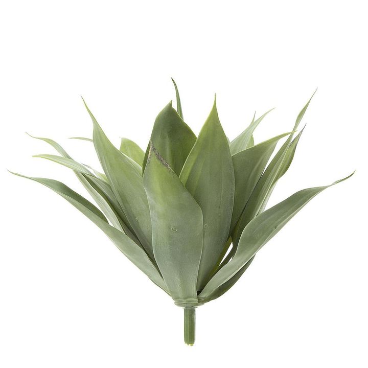 Agave succulent Bush 41cm W/19 Leaves Green