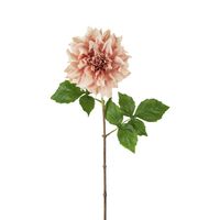 Dried Look Dahlia Stem Large 61cm Light Pink