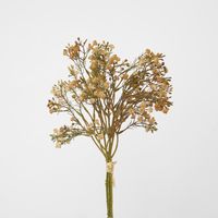 Baby's Breath Bundle Apricot