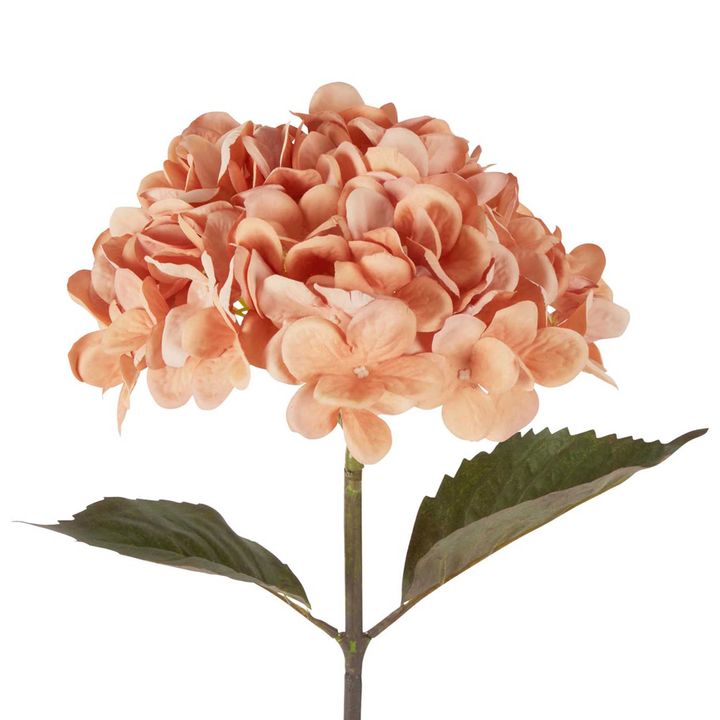 Dried Look Hydrangea Stem 48cm Apricot