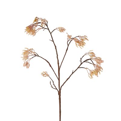 Kangaroo Paw Branch 125cm Apricot