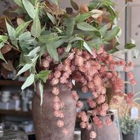 Pom Pom Leaf Branch 1.07m Blush Pink