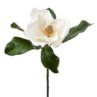 Magnolia Stem 75cm White