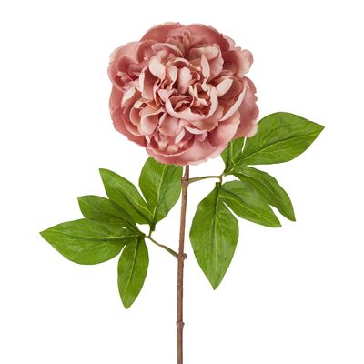 Dried Look Peony Stem 61cm Pink