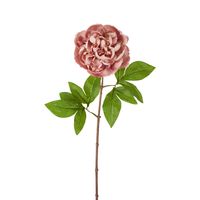 Dried Look Peony Stem 61cm Pink