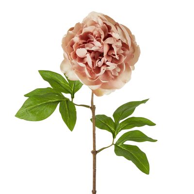 Dried Look Peony Stem 61cm Blush