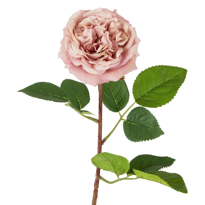 Dried Look English Rose Stem 50cm Pink