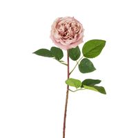 Dried Look English Rose Stem 50cm Pink