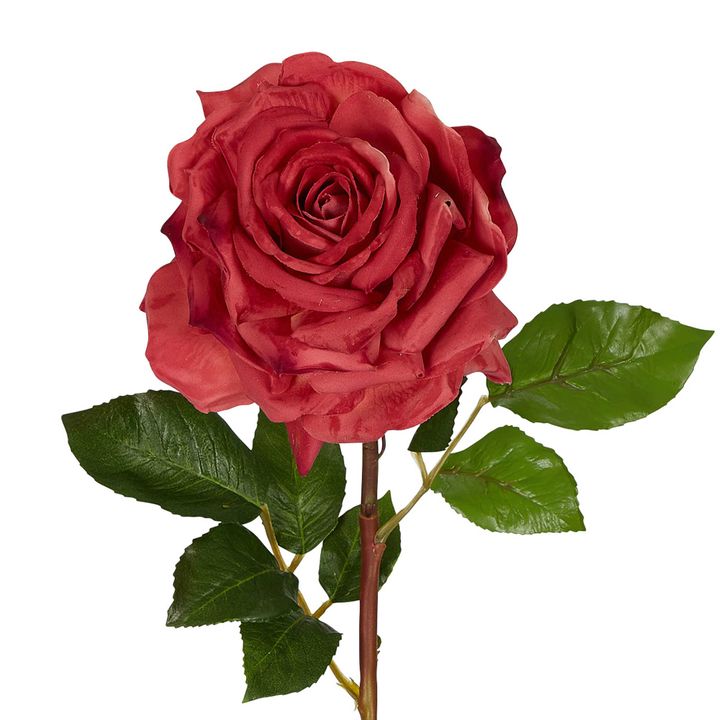 Stella Real Touch Rose Stem 50cm Rouge