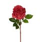 Stella Real Touch Rose Stem 50cm Rouge