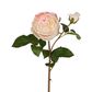 Cabbage Real Touch Rose Stem 50cm Soft Pink