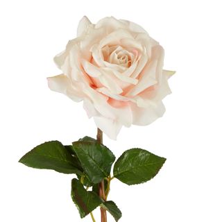 Stella Real Touch Rose Stem 50cm Blush
