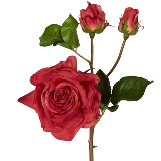 Olivia Bud Real Touch Rose Stem 53cm Rouge
