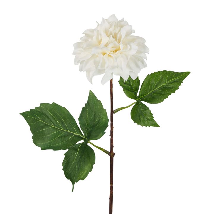 Dried Look Dahlia Stem Cream Small 43cm