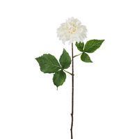 Dried Look Dahlia Stem Cream Small 43cm