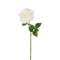 Dried Look Dahlia Stem Large 61cm Cream