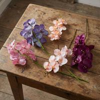 Orchid Single Stem 80cm Coral