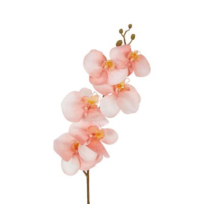 Orchid Single Stem 80cm Coral