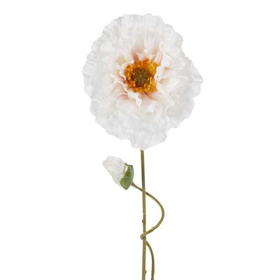 Poppy Stem 75cm White