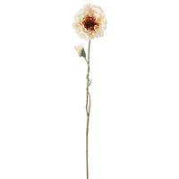 Poppy Stem 75cm White