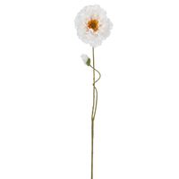 Poppy Stem 75cm White