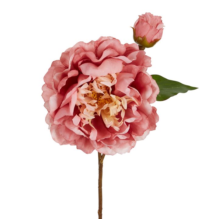 Peony Stem 61cm Pink