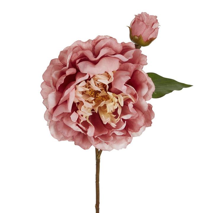 Peony Stem 61cm Pink