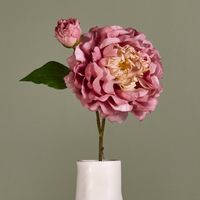 Peony Stem 61cm Pink