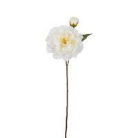 Peony Stem 61cm White