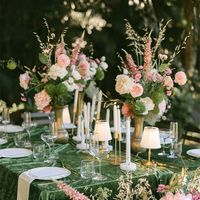 Veronica Speedwell Flower Stem 103cm Pink