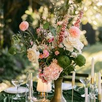 Veronica Speedwell Flower Stem 103cm Pink