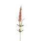 Veronica Speedwell Flower Stem 103cm Pink
