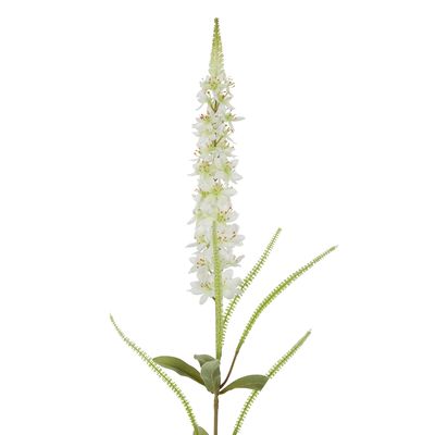 Veronica Speedwell Flower Stem 103cm White