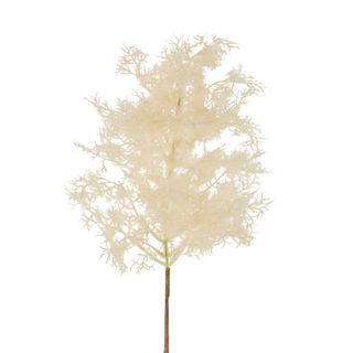 Smoke Tree Stem Natural Small
