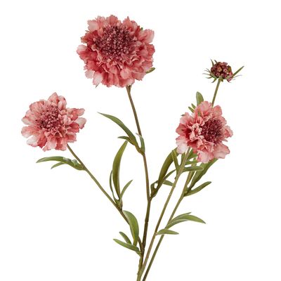 Scabiosa Spray Stem 80cm Pink