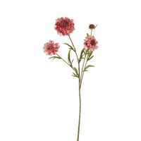 Scabiosa Spray Stem 80cm Pink