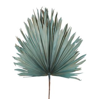 Preserved Palm Leaf Blue Large