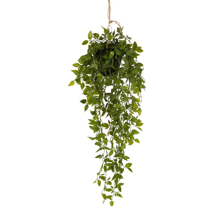 Hanging Leaves with Black Pot