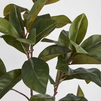 Real Touch Magnolia Tree 1.2M