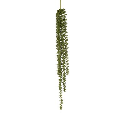 String of Pearls Stem