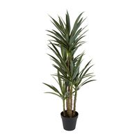 Yucca 5 Branch in Black Pot