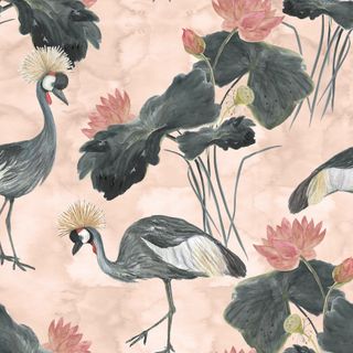 Crowned Cranes Wallpaper