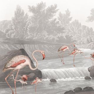 Flamingo Vlei Wallpaper